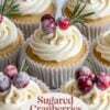 Close-up of festive vanilla cupcakes topped with creamy buttercream, sugared cranberries, and fresh rosemary sprigs, perfect for holiday celebrations.