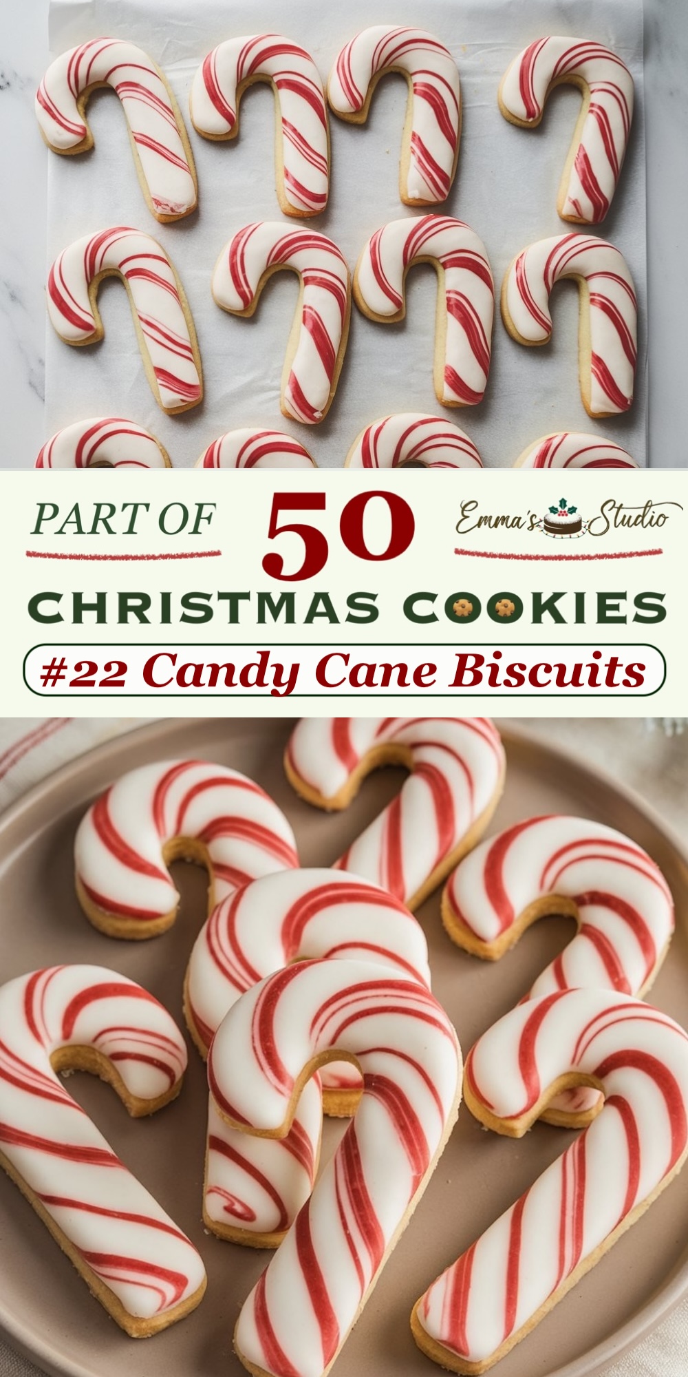 Peppermint chocolate blossom cookies with a rich chocolate base, topped with striped peppermint kisses and sprinkled with crushed candy cane pieces. The crackled surface and bold contrast of chocolate and mint create a visually stunning, mint-flavored holiday cookie. Part of a 50 Christmas Cookies collection, these peppermint chocolate blossoms offer a festive blend of flavors and textures.