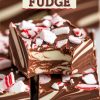 A close-up of a slice of peppermint swirl fudge with rich chocolate and creamy white marbling. The top is sprinkled with crushed peppermint candy pieces, adding a festive pop of red and white color and a touch of holiday flavor.