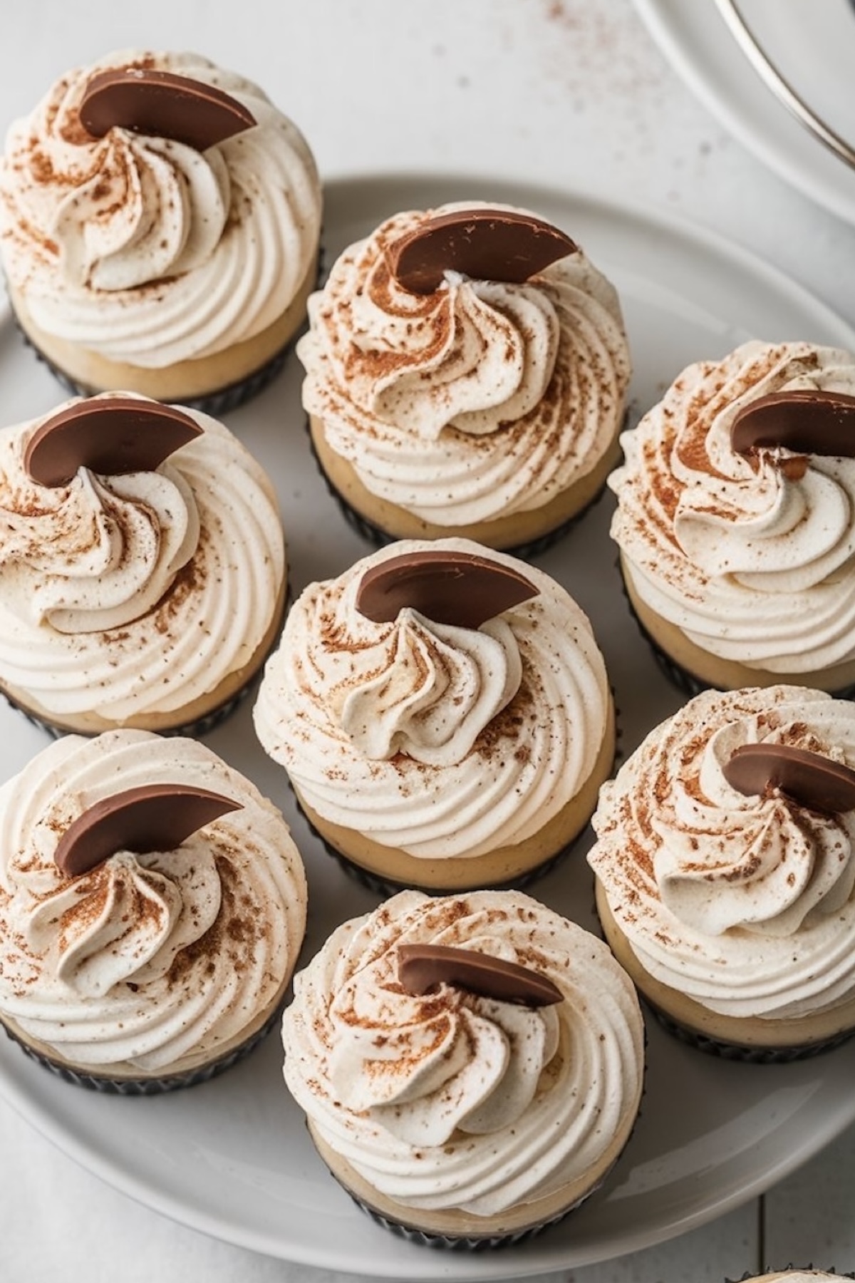 A plate of Baileys cheesecake cups with piped whipped topping, dusted with cocoa powder, and garnished with curved chocolate pieces. The cupcakes have a chocolate crust and creamy filling.