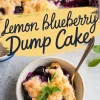 Close-up of a baked lemon blueberry dump cake. The golden crust is studded with juicy blueberries and fresh lemon zest. A portion is served in a bowl, revealing a gooey blueberry filling. A sprig of mint decorates the plated portion. The text overlay reads “Lemon Blueberry Dump Cake.”