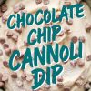 A bowl filled with creamy chocolate chip cannoli dip, garnished with powdered sugar and semi-sweet chocolate chips. The rustic ceramic bowl highlights the dip’s rich texture. Bold teal text reads “Chocolate Chip Cannoli Dip.”