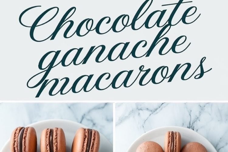 A collage showing chocolate ganache macarons with three sections. The top features a close-up of two stacked macarons, while the bottom sections display two different arrangements of macarons on white plates, emphasizing their delicate texture and glossy filling. Text reads “Chocolate Ganache Macarons.”