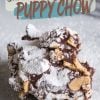 Close-up of a chocolate peanut butter puppy chow cluster coated in powdered sugar, showcasing the rich chocolate and peanut butter layers with visible cereal pieces. The treat is set on a marble surface, dusted with powdered sugar, and features a text overlay reading “Chocolate Peanut Butter Puppy Chow.”