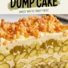 A slice of pickle dump cake on a plate, showcasing its layers of diced pickles, creamy filling, and a golden brown crumbly topping. The text overlay reads “Pickle Dump Cake: Sweet Meets Tangy Twist.”