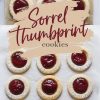 A close-up view of sorrel thumbprint cookies arranged in rows on parchment paper. The cookies are dusted with powdered sugar, showcasing the deep red jam centers and soft golden edges.