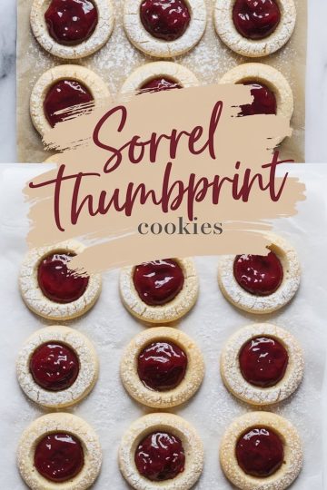A close-up view of sorrel thumbprint cookies arranged in rows on parchment paper. The cookies are dusted with powdered sugar, showcasing the deep red jam centers and soft golden edges.