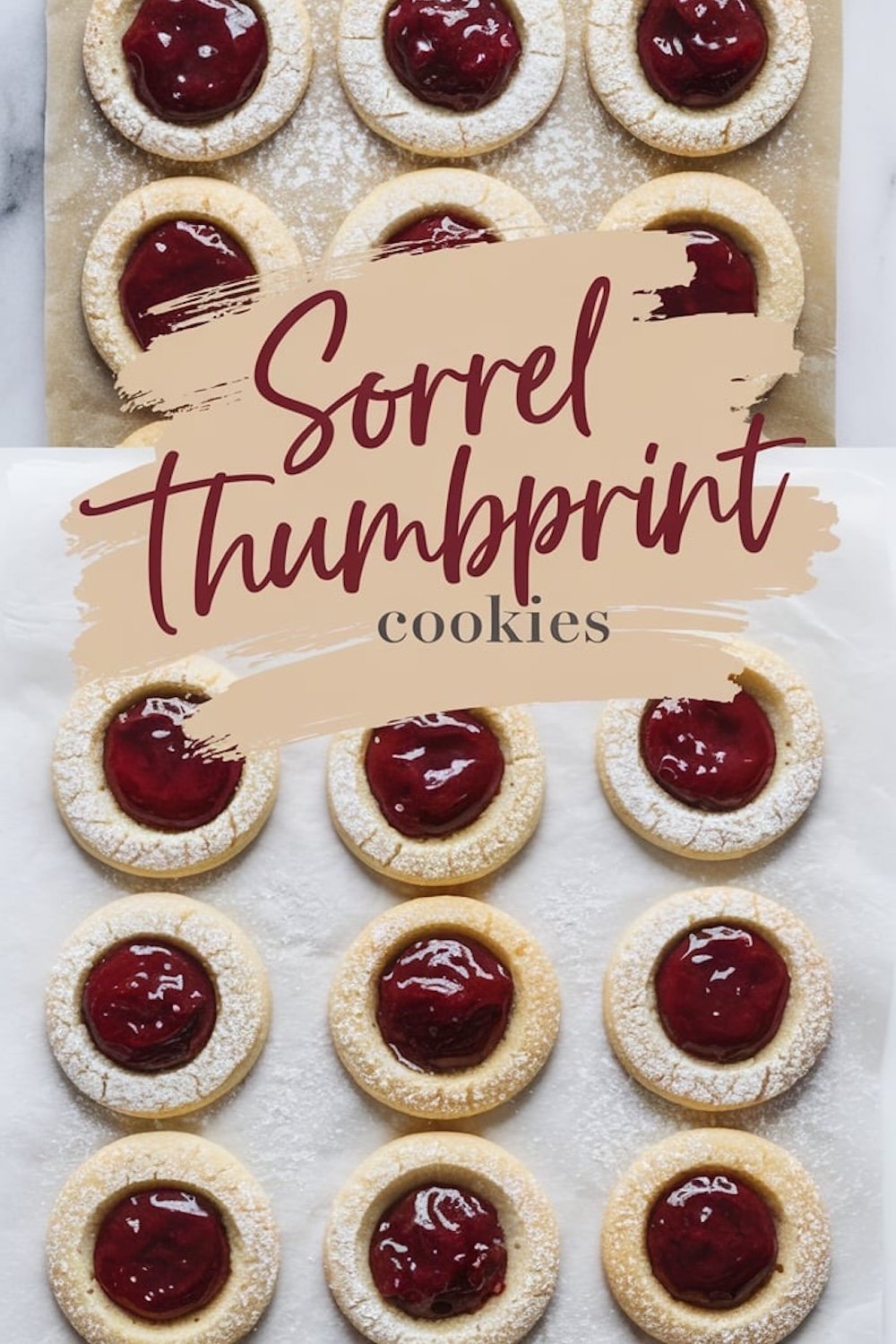 A close-up view of sorrel thumbprint cookies arranged in rows on parchment paper. The cookies are dusted with powdered sugar, showcasing the deep red jam centers and soft golden edges.