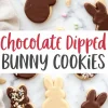 A collage featuring chocolate-dipped bunny-shaped sugar cookies on a marble surface. Some cookies are half-dipped in chocolate, while others have sprinkles or shredded coconut. The center of the image displays the text “Chocolate Dipped Bunny Cookies” in bold red and black lettering.