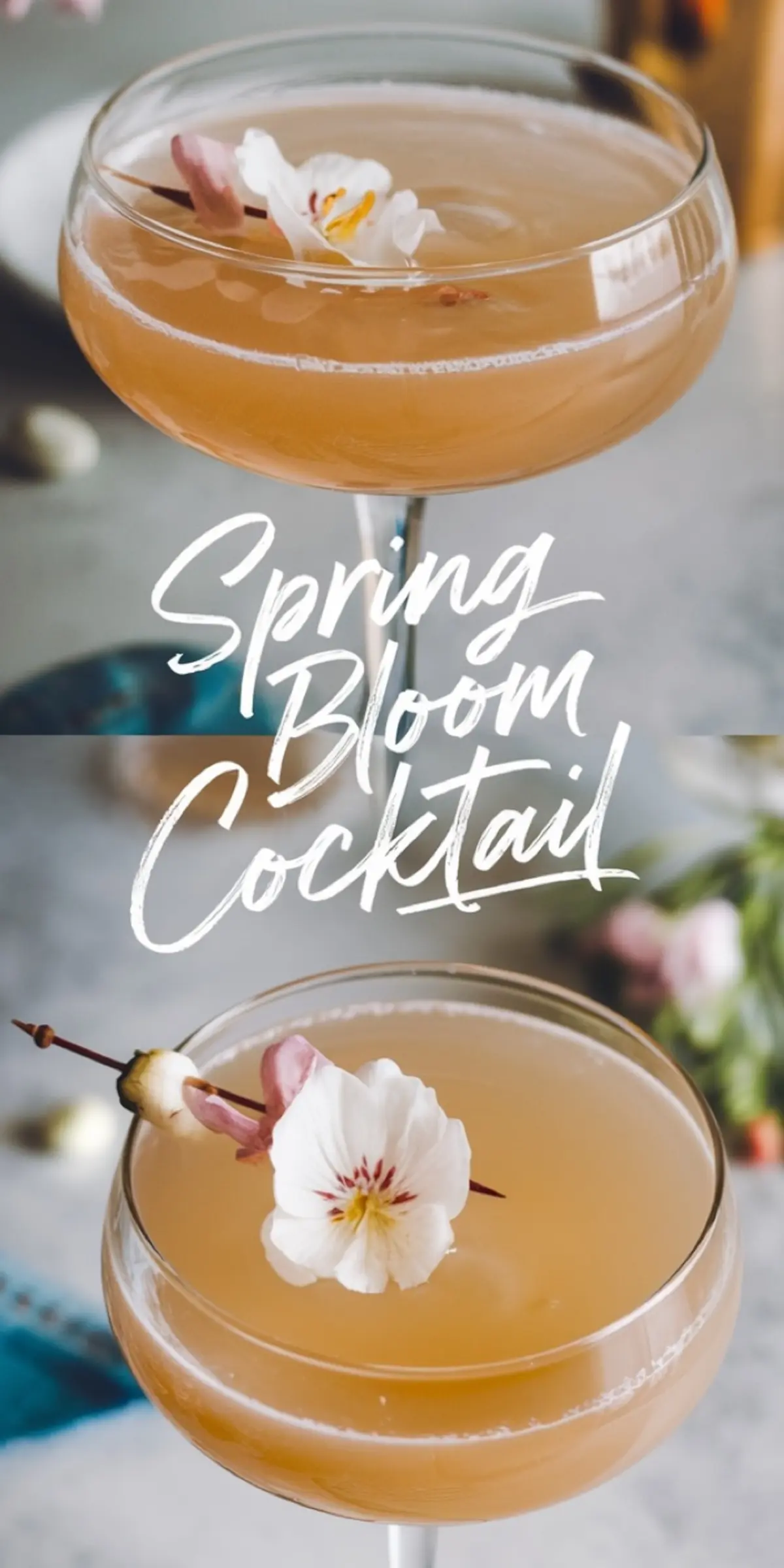 Collage showing two views of the Spring Bloom Cocktail in a coupe glass with a light peachy-gold color, garnished with a delicate white flower on a skewer. The background includes floral accents and the text “Spring Bloom Cocktail” in handwritten script.