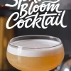 Spring Bloom Cocktail in a coupe glass with a creamy white foam atop a golden-yellow liquid. The backdrop features blurred bar tools and the text “Spring Bloom Cocktail” in bold, flowing script.