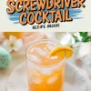 Collage image of a refreshing screwdriver cocktail with vibrant orange juice and ice cubes, garnished with an orange slice. The text reads “Screwdriver Cocktail - Recipe Inside,” surrounded by spring decor including pastel eggs and white flowers, creating a festive, cheerful atmosphere.