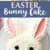 A decorated Easter bunny cake with piped white frosting, pink candy nose, black candy eyes, and chocolate whiskers. The ears have pink centers, and the cake is placed on a white plate. A blue banner in the middle reads “EASTER Bunny Cake.”