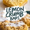 A collage of lemon crumb bars arranged on parchment paper. The bars have a golden crumble topping, a bright yellow lemon filling, and a shortbread base. Powdered sugar is lightly dusted on top. The text overlay says “LEMON CRUMB BARS” in a bold, hand-drawn style.