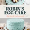 A collage of two images featuring a Robin’s Egg Cake. The top view showcases the cake’s pastel blue frosting, chocolate nest, and candy eggs, while the bottom displays the cake on a white pedestal stand. The text “Robin’s Egg Cake - Spring treats await” is in the center.