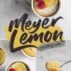 Collage showing Meyer lemon pudding cake in white ramekins, garnished with fresh raspberries, powdered sugar, lemon slices, and lemon zest. One image shows a spoon lifting the soft, golden cake with a creamy layer. Text overlay reads “Meyer Lemon Pudding Cake” on a marble background.