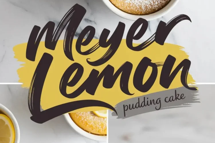 Collage showing Meyer lemon pudding cake in white ramekins, garnished with fresh raspberries, powdered sugar, lemon slices, and lemon zest. One image shows a spoon lifting the soft, golden cake with a creamy layer. Text overlay reads “Meyer Lemon Pudding Cake” on a marble background.