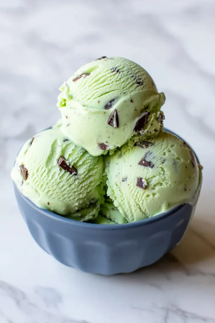 Homemade Mint Chocolate Chip Ice Cream