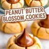 Close-up of baked peanut butter blossom cookies with cracked edges and melted chocolate kisses in the center, text overlay reads “Peanut Butter Blossom Cookies”.