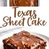 A collage with a top image of a frosted Texas sheet cake garnished with chopped pecans, and a bottom image of a rich, fudgy slice served on a white plate, showcasing its dense and gooey chocolate interior.