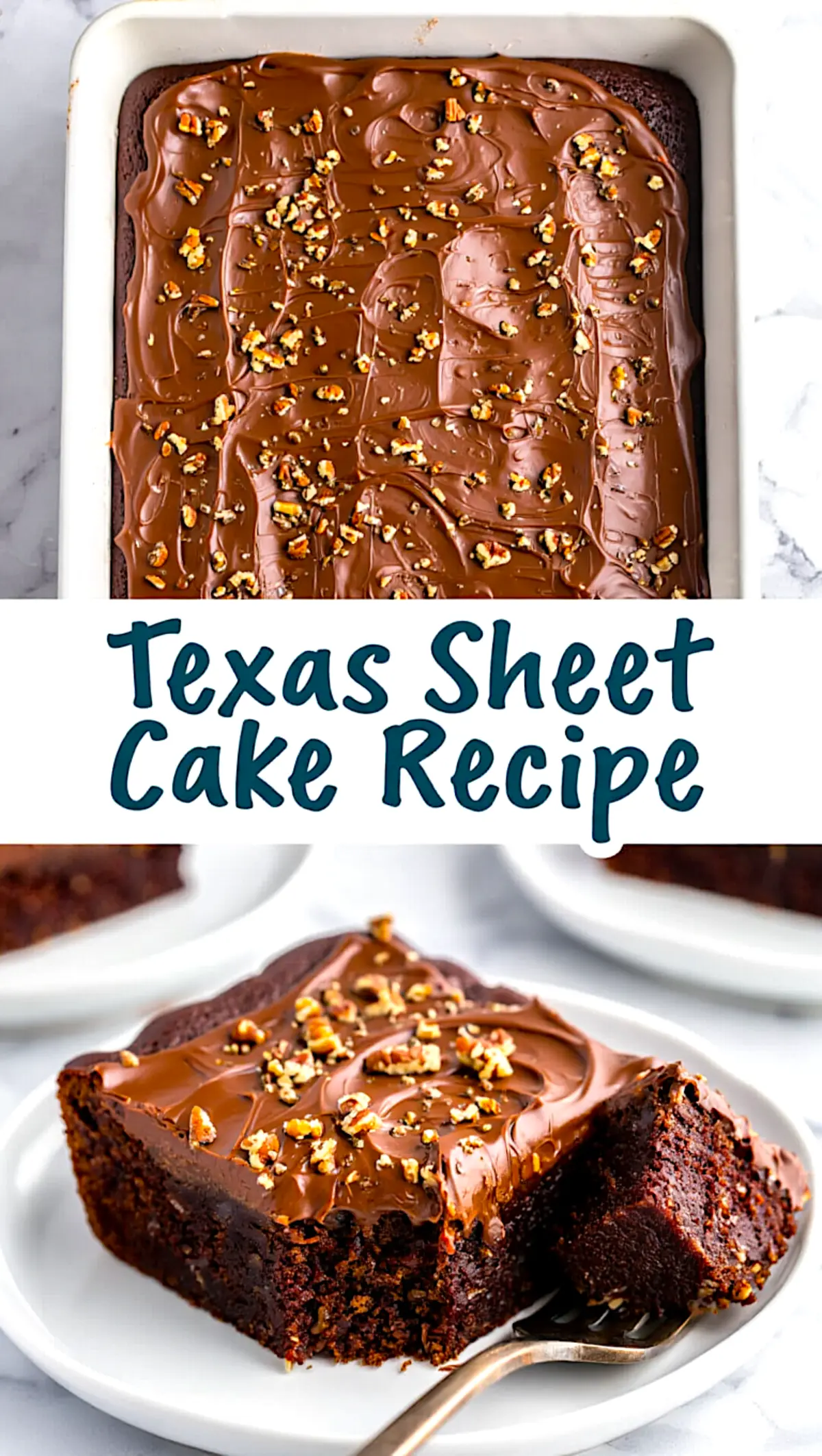 A two-part image showing a finished Texas sheet cake topped with glossy chocolate frosting and chopped pecans in the top half, and a plated slice of the cake on the bottom, with a bite taken to reveal a moist, rich interior.