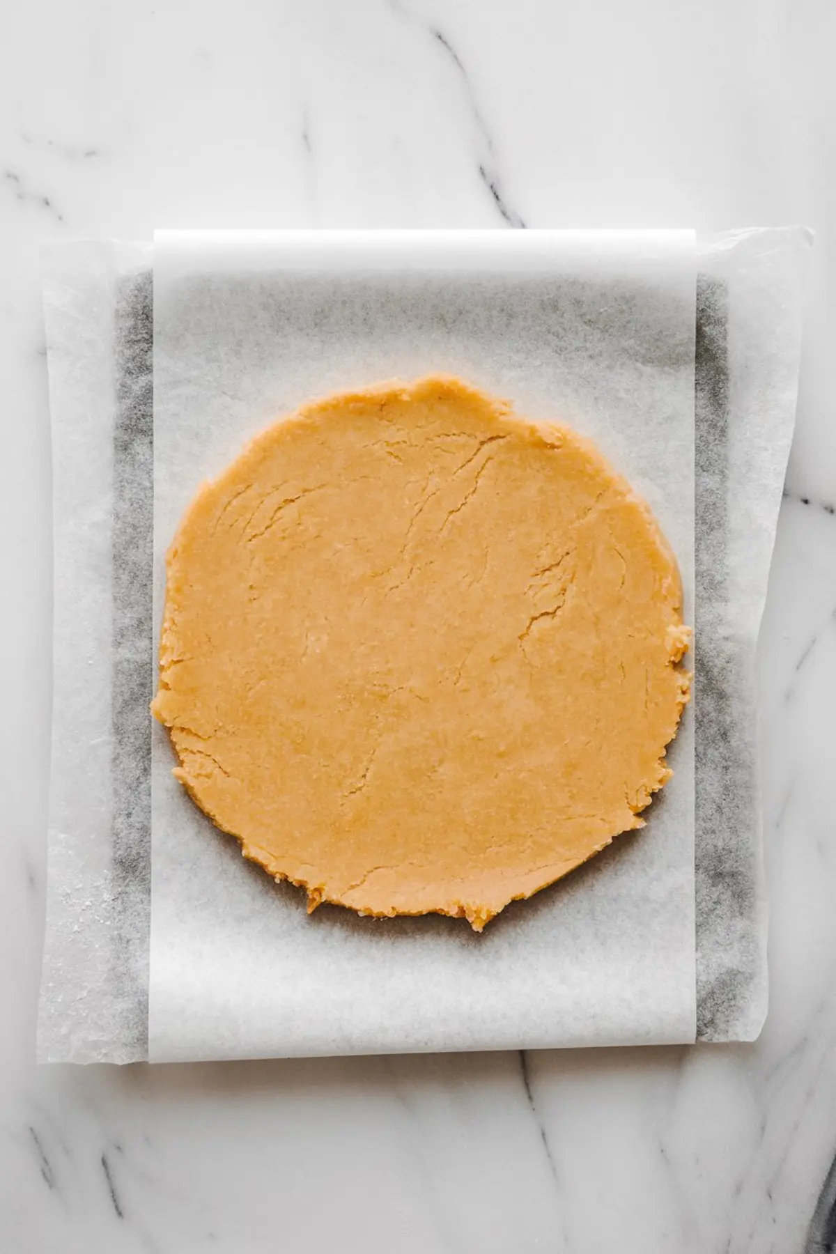 Rolled-out sugar cookie dough disk sandwiched between two sheets of parchment paper, prepared for cutting and baking.