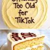 Round birthday cake with smooth beige frosting and chocolate piping that says “Officially Too Old for TikTok.” The minimalist bday cake design features clean swirls, making it a simple birthday cake for men and a fun cake idea for boyfriend.