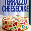 Whole terrazzo cheesecake featuring a smooth cream cheese base layered with multicolored jelly pieces embedded across the entire surface and sides. The polished marble pattern adds a Japanese cheesecake decoration touch, fitting for cheesecake design ideas and modern dessert plating inspiration.