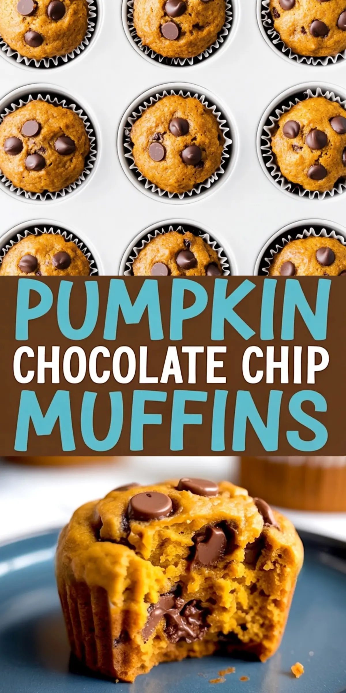 Collage showing golden brown pumpkin choc chip muffins in a white muffin tin and a close-up of a bitten muffin with gooey chocolate center, ideal for chocolate chip muffins recipe and banana chocolate chip muffins.
