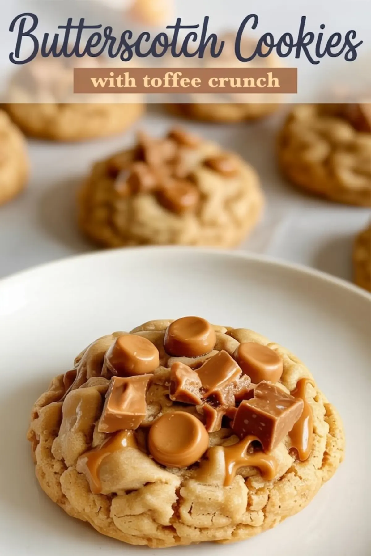 Single baked butterscotch cookie on a white plate, topped with glossy butterscotch chips and chunky toffee pieces, surrounded by blurred cookies in the background.