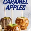 Gourmet caramel apples coated with chopped candy and chocolate drizzle, styled under bold text reading “Gourmet Caramel Apples.”