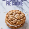 Single oatmeal cream pie cookie with a soft chewy texture and creamy white filling, styled on a marble surface with scattered oats and bold title text above.