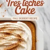Overhead view of a pumpkin tres leches cake in a white baking dish, topped with whipped cream swirls and sprinkled with cinnamon, labeled as a fall dessert recipe.