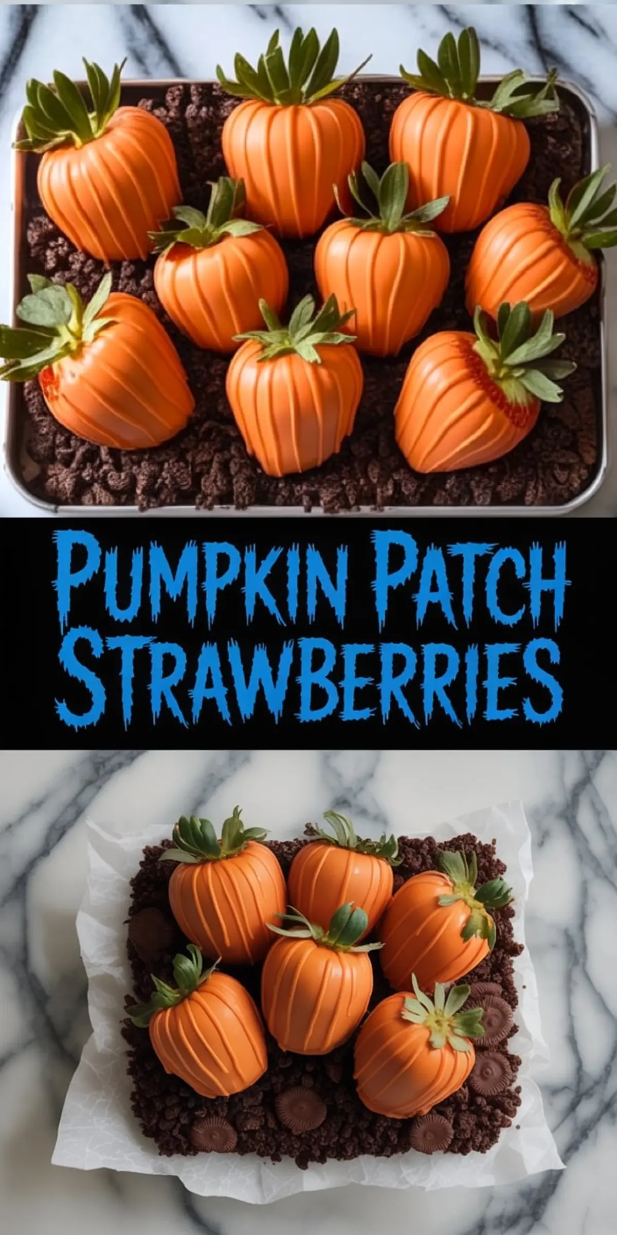 Halloween-themed chocolate-covered strawberries styled like pumpkins, arranged on cookie crumb “soil” for a festive pumpkin patch look, perfect for seasonal baking inspiration and creative fall recipes.