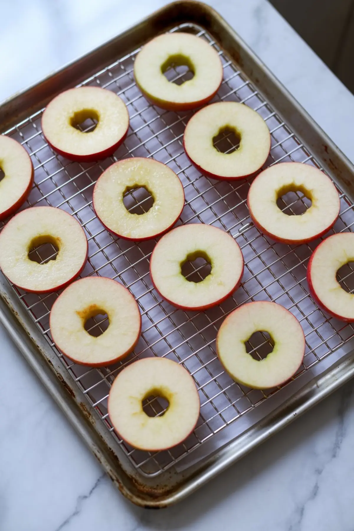 Raw apple slices laid on a wire rack over a baking tray, ready to be baked into apple chips, with visible juice and clean cores on each slice.
