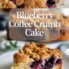 Vertical collage shows close up of blueberry crumb cake with golden streusel topping and moist slice filled with juicy blueberries, text overlay reads Blueberry Coffee Crumb Cake, homemade dessert presentation.
