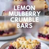 2:3 collage graphic of lemon mulberry crumble bars with a tray of bars and a plated slice.