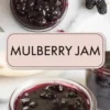 Mulberry jam recipe collage shows a jar of dark homemade mulberry jam, a jam-coated spoon, and rich berry preserves with a thick glossy texture.