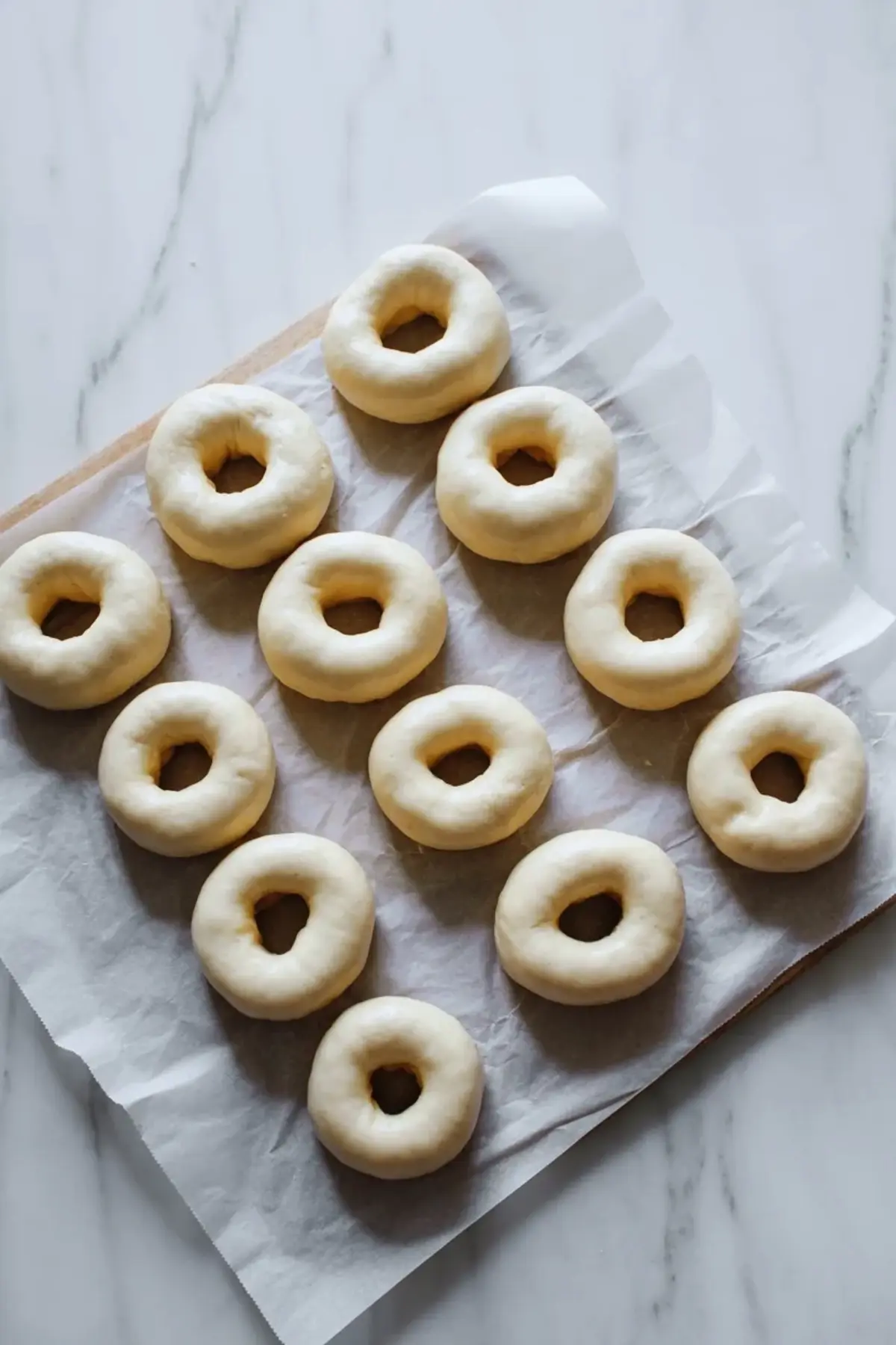 Unfried donut rounds resting on parchment, showing the shaped dough for berry cream donuts before proofing or frying.