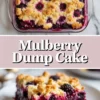 Mulberry dump cake shown in a 2 to 3 hero image with the baked berry dessert in a glass dish above and one glossy jammy serving on a plate below with title text in the center.