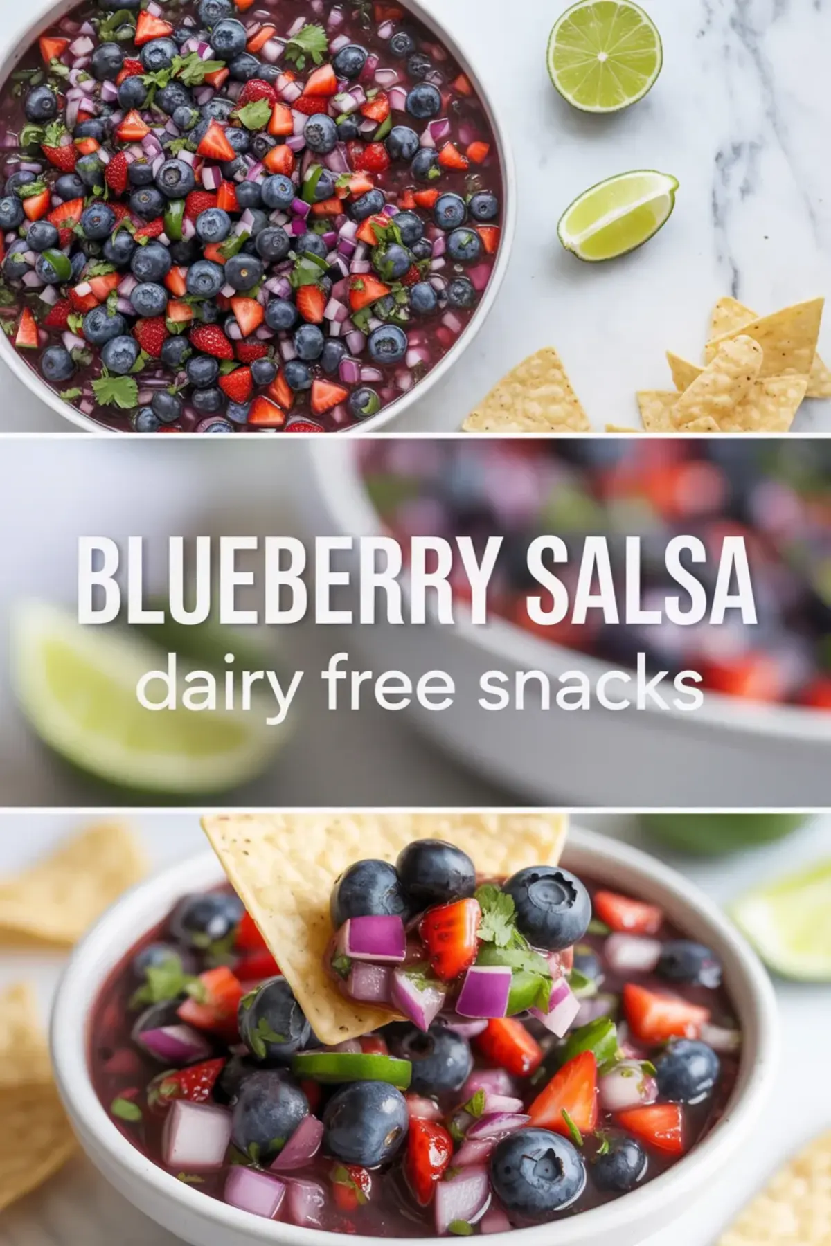 Blueberry Salsa Recipe – Fresh Fruit Salsa with Lime and Jalapeno